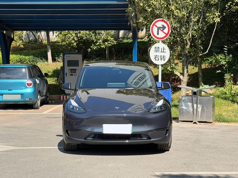 Tesla Model Y 2024 immagine di auto #2