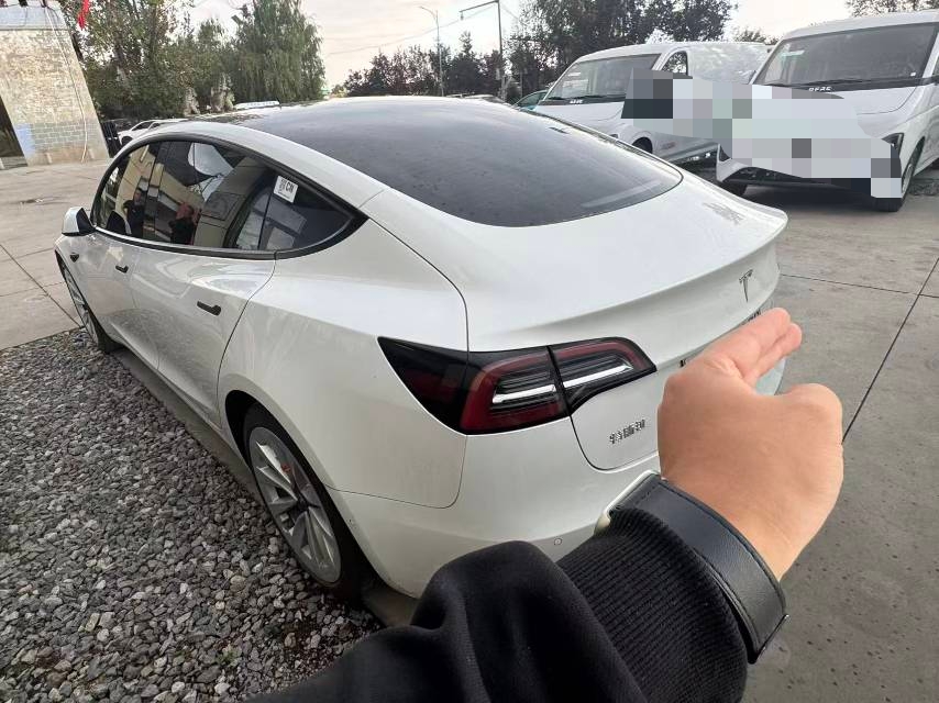 Tesla Model 3 2021 #4 Tesla Model 3 2021 immagine di auto #4