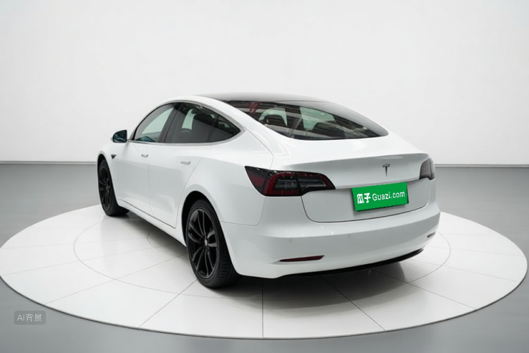 Tesla Model 3 2020 #5 Tesla Model 3 2020 car image #5
