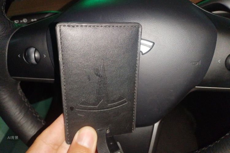 Tesla Model 3 2022 imagem de carro #10