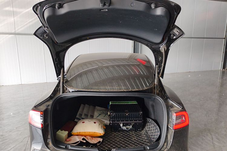 Tesla Model 3 2021 car image #21