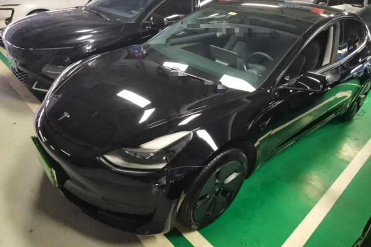 Tesla Model 3 2021 immagine di auto #2
