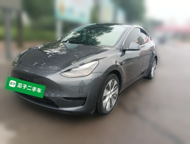 Tesla Model Y 2022 Tesla Model Y 2022 car image