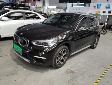 BMW X1 2019 BMW X1 2019 car image
