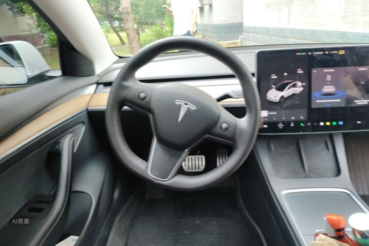 Tesla Model 3 2021 #12 Tesla Model 3 2021 car image #12