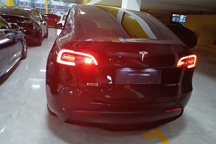 Tesla Model Y 2023 car image #4