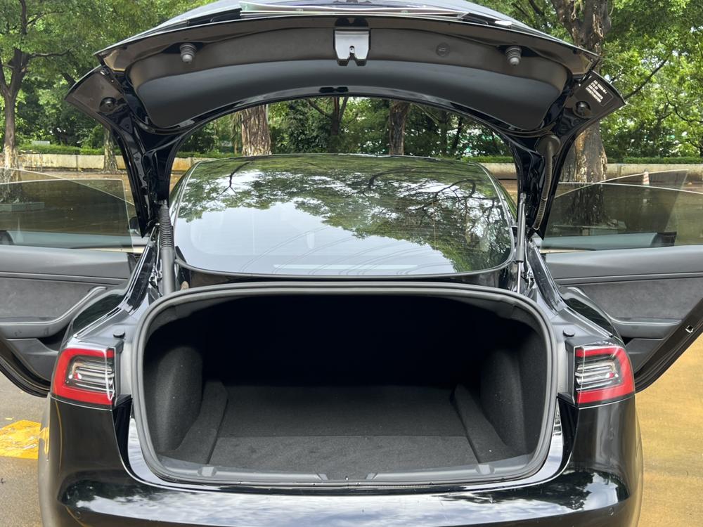 Tesla Model 3 2021 #22 Tesla Model 3 2021 car image #22