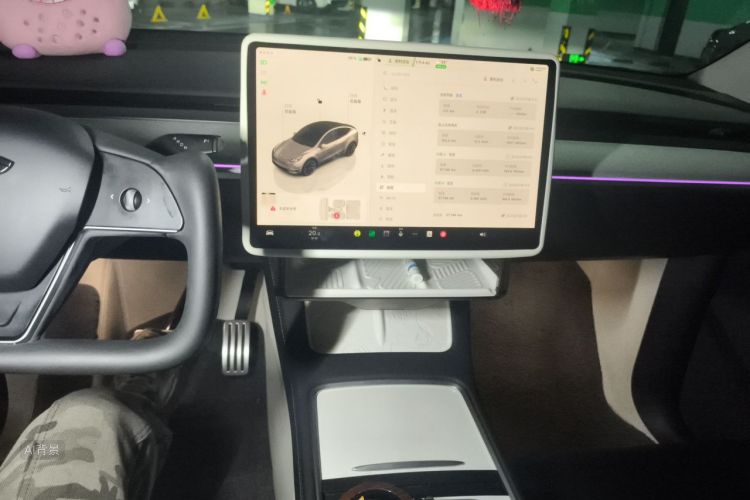 Tesla Model Y 2024 car image #15