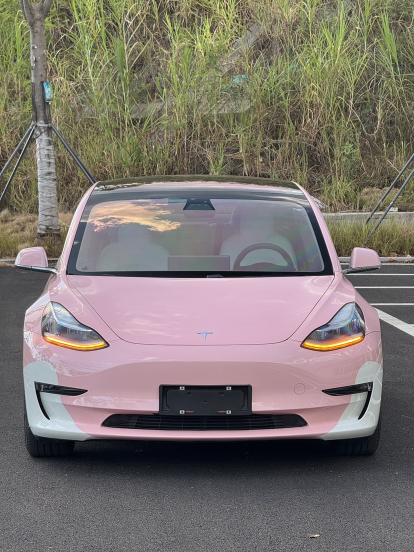 Tesla Model 3 (Imported) 2019 Tesla Model 3 (Imported) 2019 car image