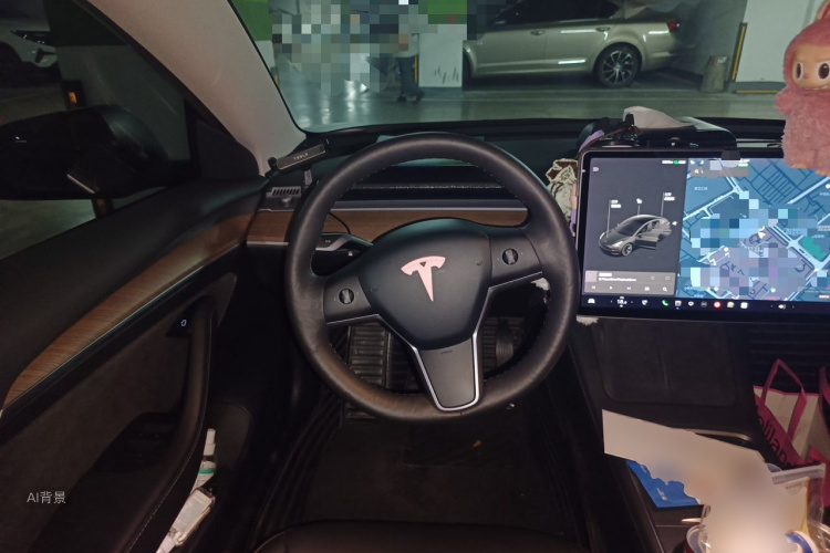 Tesla Model 3 2021 car image #12