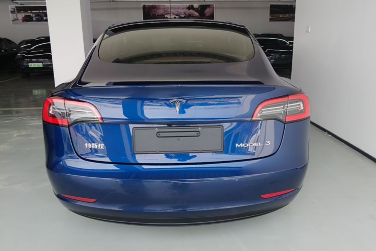Tesla Model 3 2021 #4 Tesla Model 3 2021 car image #4