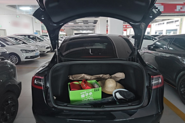 Tesla Model 3 2020 car image #19