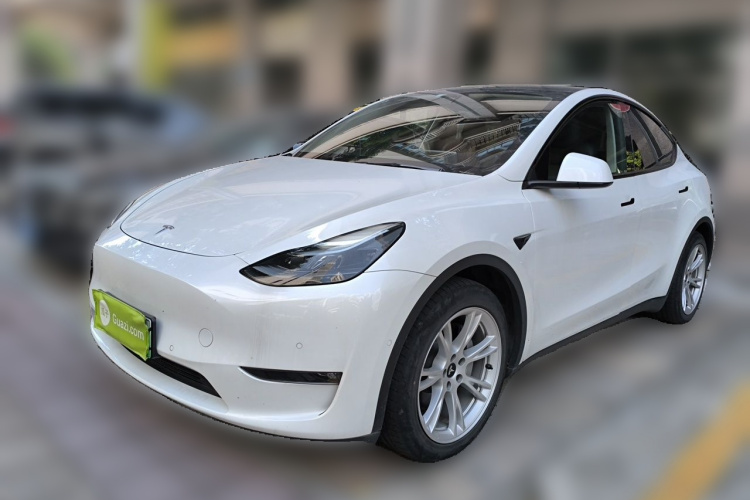 Tesla Model Y 2021 #2 Tesla Model Y 2021 car image #2