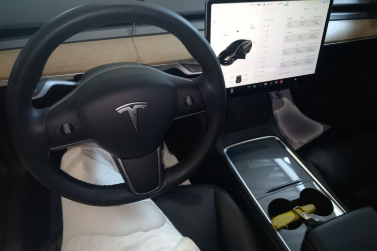 Tesla Model 3 2021 car image #10