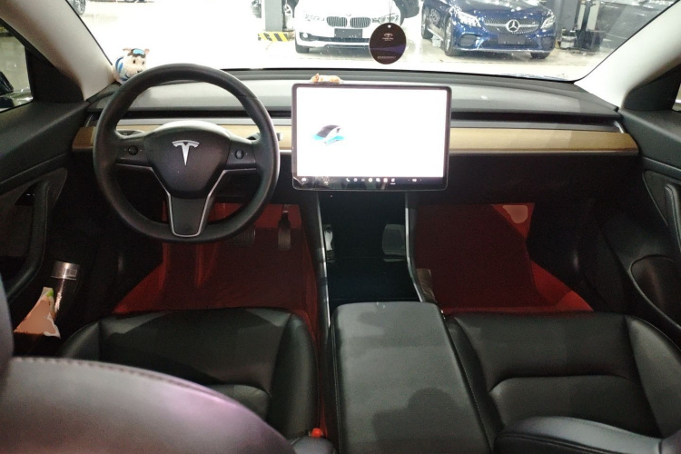 Tesla Model 3 2020 car image #10