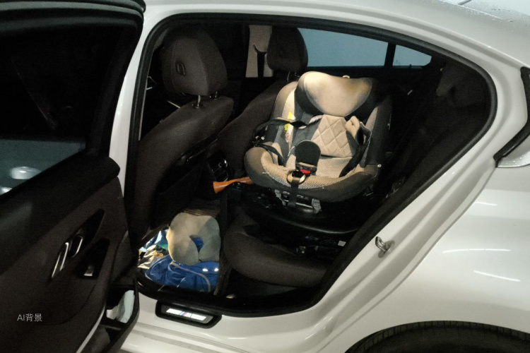 BMW 3 Series 2020 car image #19