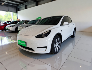 Tesla Model Y 2021 Tesla Model Y 2021 car image