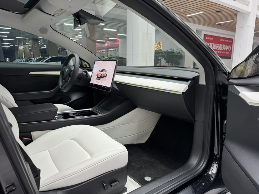 Tesla Model 3 2022 car image #18