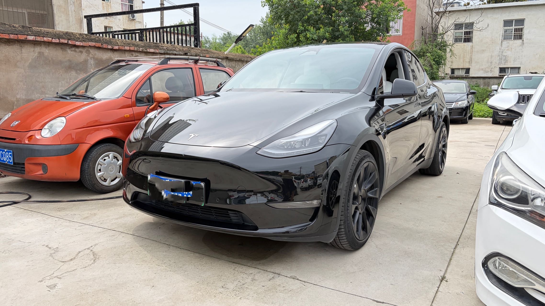 Tesla Model Y 2023 car image 