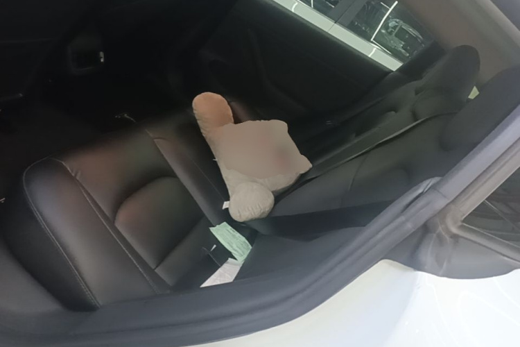 Tesla Model 3 2021 immagine di auto #17
