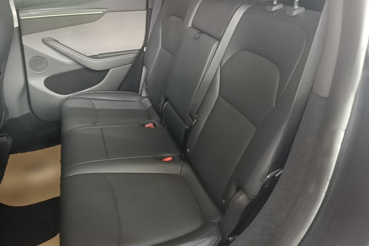 Tesla Model Y 2025 immagine di auto #17