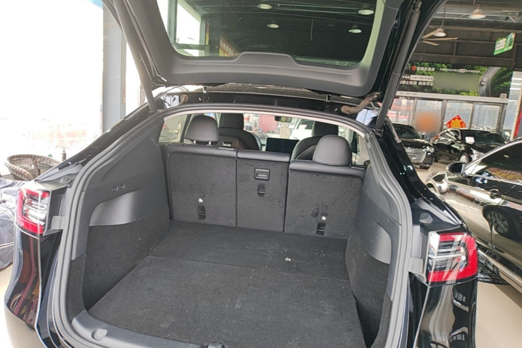 Tesla Model Y 2021 immagine di auto #19