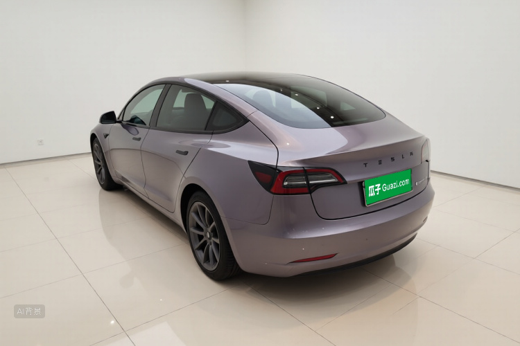 Tesla Model 3 2021 #5 Tesla Model 3 2021 car image #5