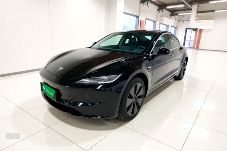 Tesla Model 3 2023 #2 Tesla Model 3 2023 car image #2