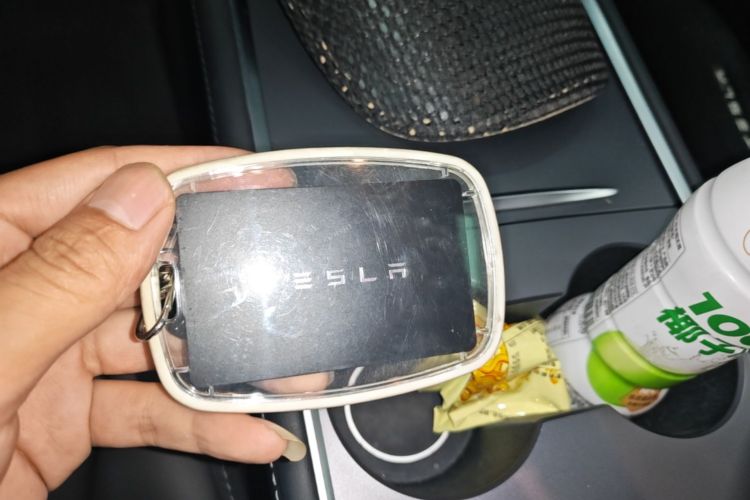 Tesla Model 3 2021 car image #9