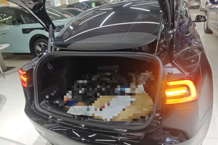 Tesla Model 3 2021 car image #19