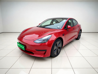 Tesla Model 3 2021 Tesla Model 3 2021 car image