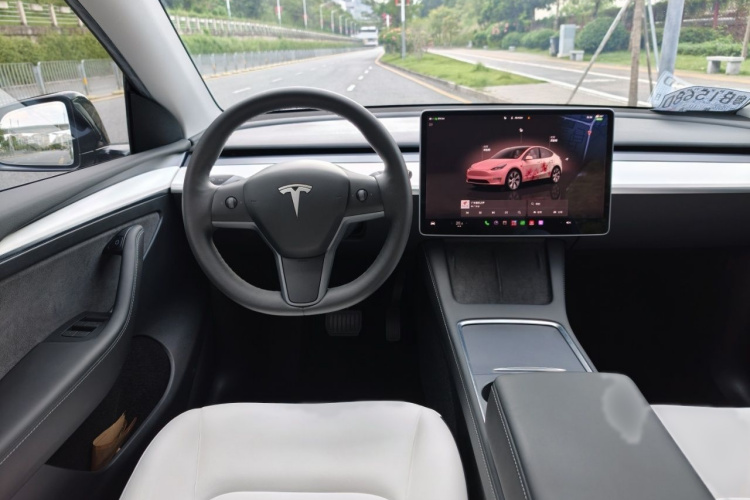 Tesla Model Y 2022 immagine di auto #23