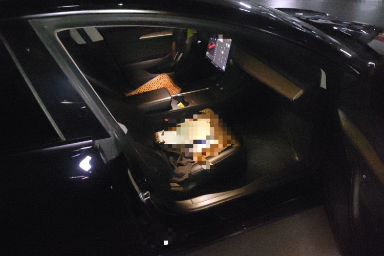 Tesla Model 3 2023 #25 Tesla Model 3 2023 car image #25