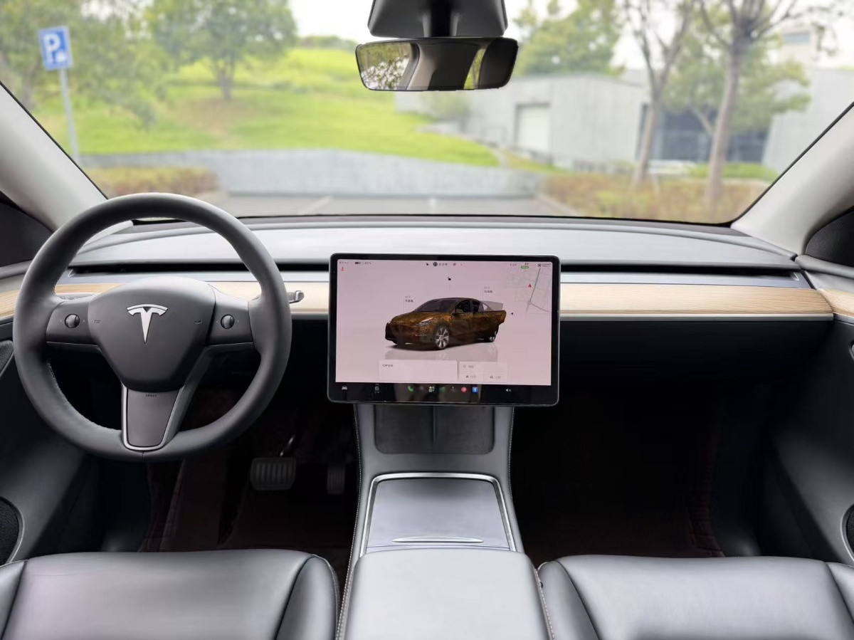 Tesla Model Y 2022 car image #12