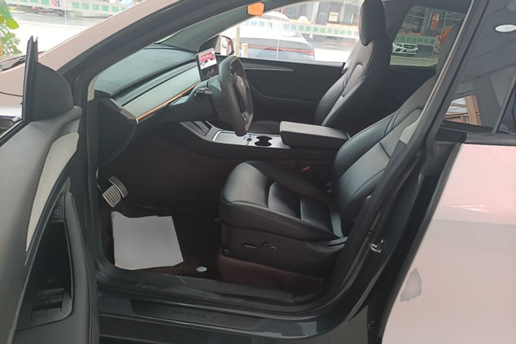 Tesla Model Y 2021 car image #12