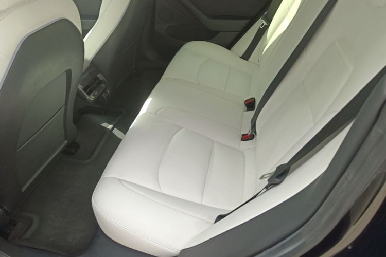 Tesla Model 3 2021 #17 Tesla Model 3 2021 car image #17