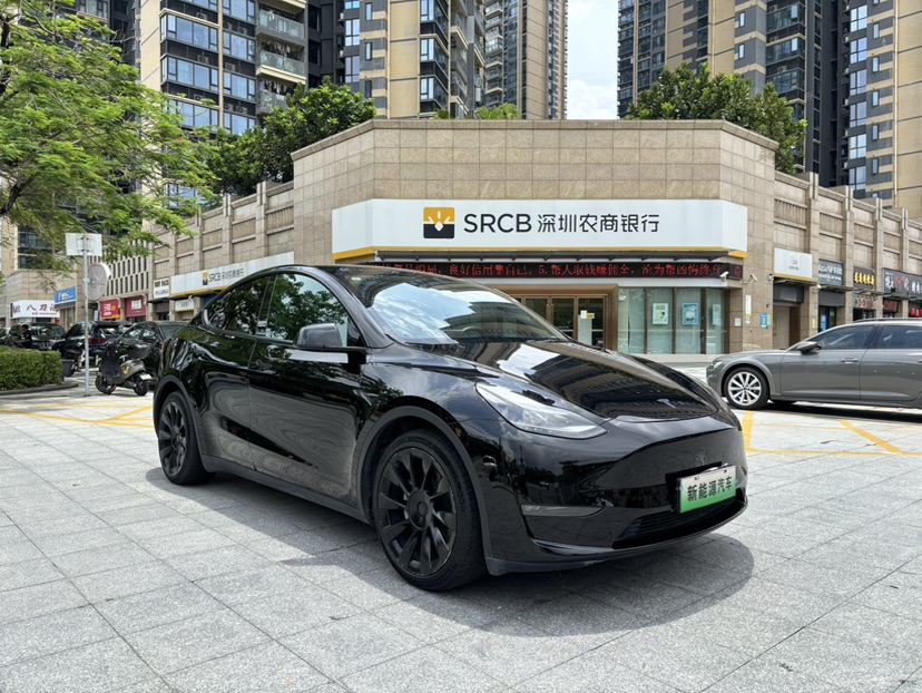 Tesla Model Y 2021 #3 Tesla Model Y 2021 car image #3