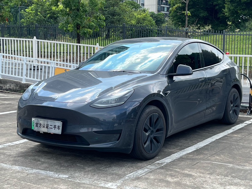 Tesla Model Y 2024 car image 