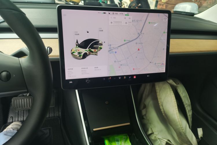 Tesla Model 3 2020 car image #15