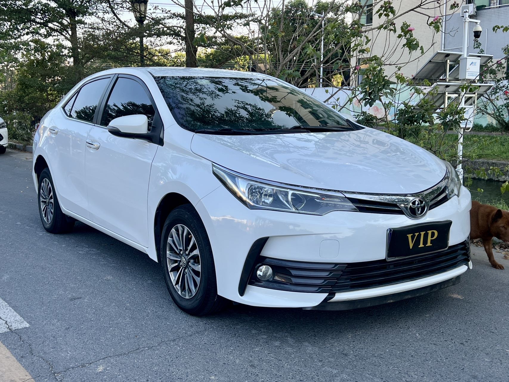 Toyota Corolla 2017 #5 Toyota Corolla 2017 immagine di auto #5