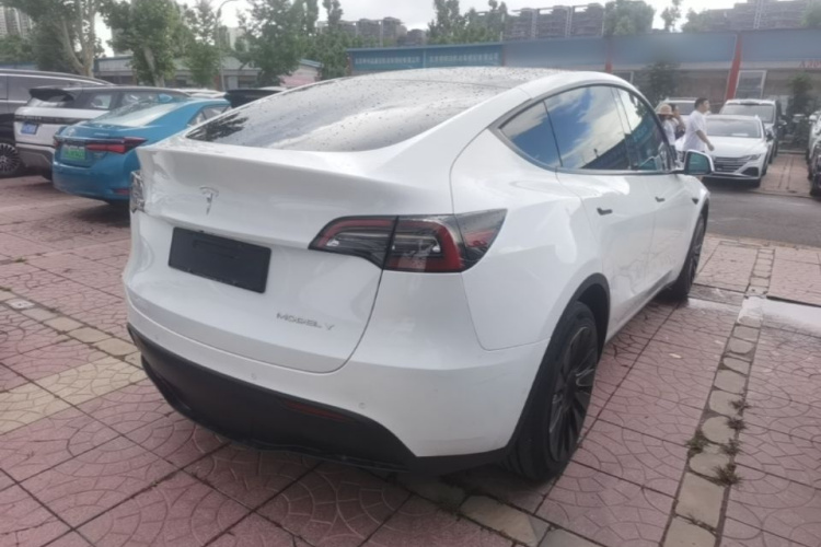 Tesla Model Y 2021 car image #7