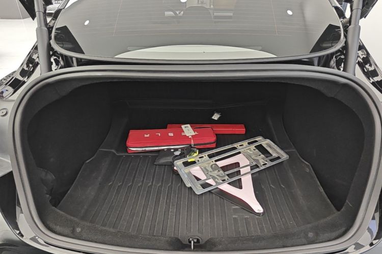 Tesla Model 3 2023 car image #19