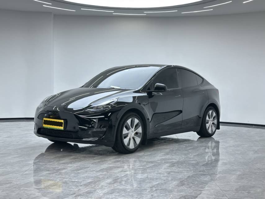 Tesla Model Y 2023 Tesla Model Y 2023 car image