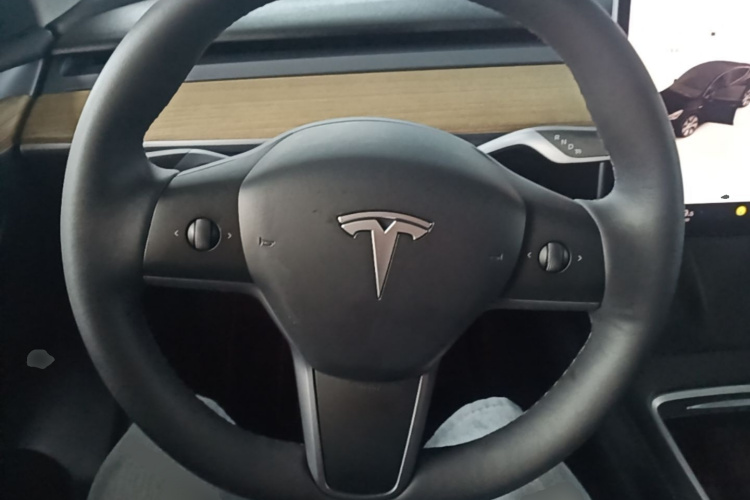 Tesla Model Y 2023 #11 Tesla Model Y 2023 car image #11