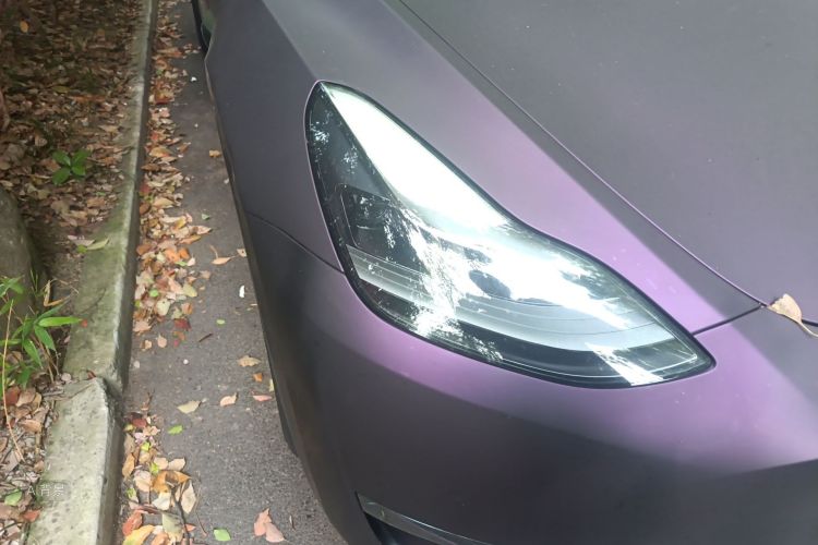 Tesla Model Y 2021 #8 Tesla Model Y 2021 car image #8