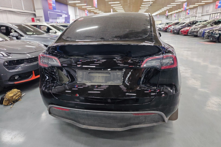 Tesla Model Y 2023 car image #6