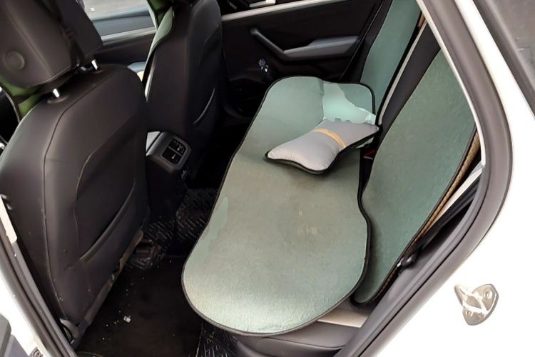Volkswagen Lavida 2024 car image #17
