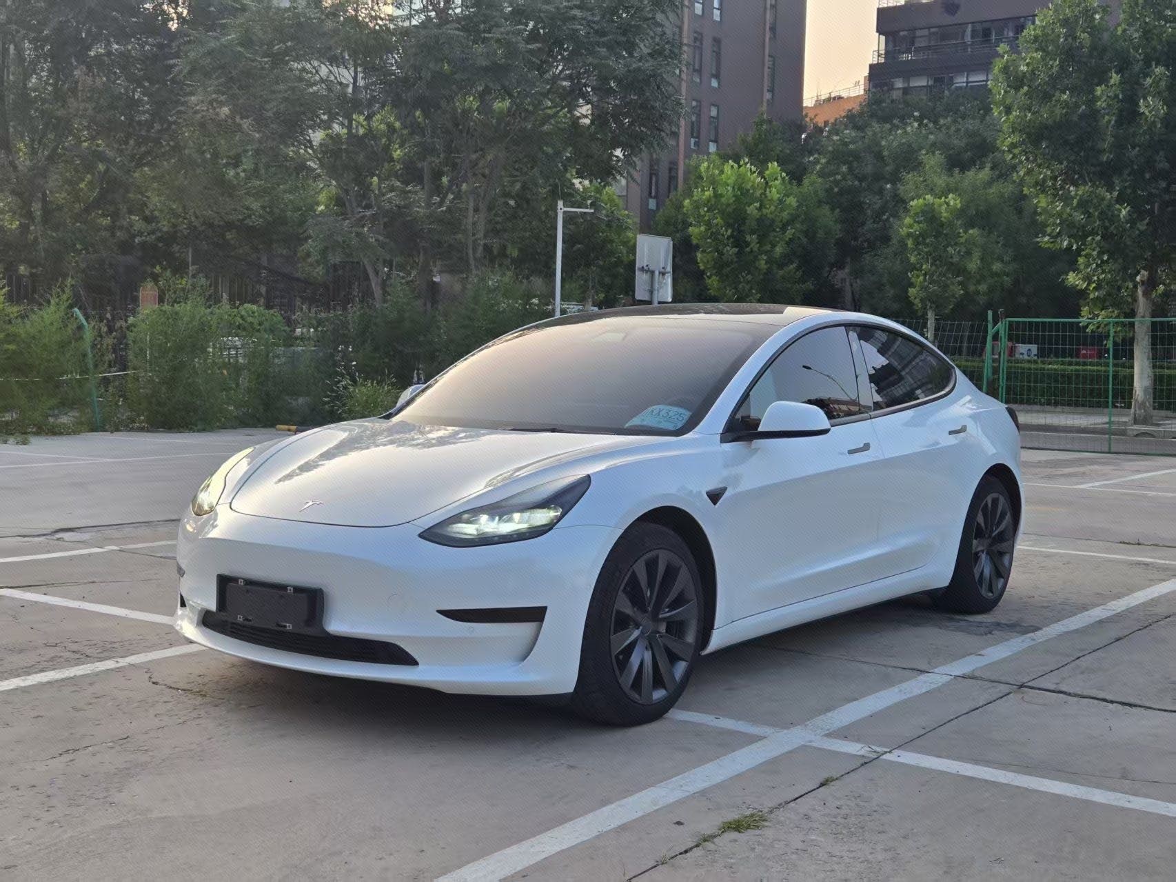 Tesla Model 3 2021 Tesla Model 3 2021 car image