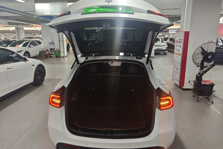Tesla Model Y 2023 #19 Tesla Model Y 2023 car image #19