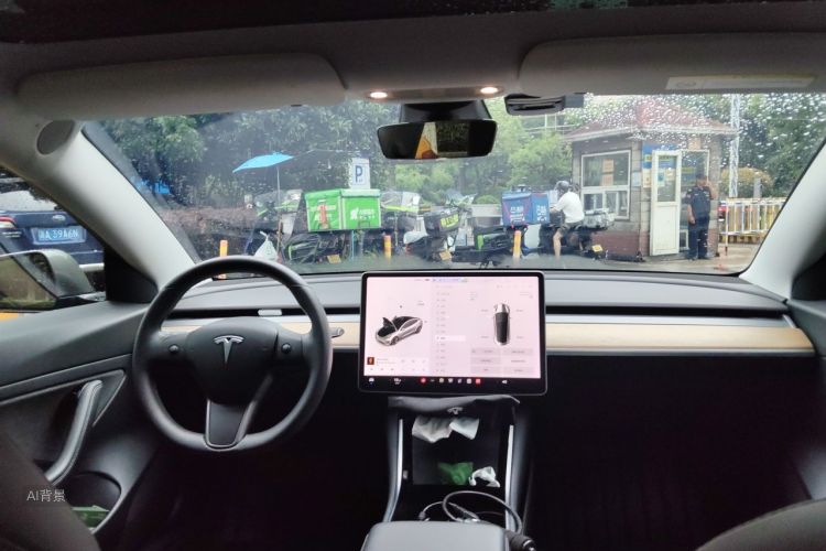 Tesla Model 3 2020 car image #20